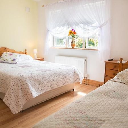 Shannon Breeze B&B Killaloe Exteriör bild