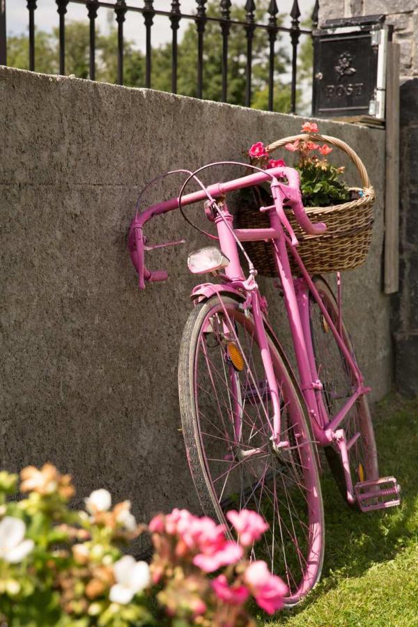 Shannon Breeze B&B Killaloe Exteriör bild