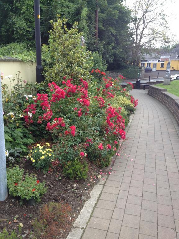 Shannon Breeze B&B Killaloe Exteriör bild