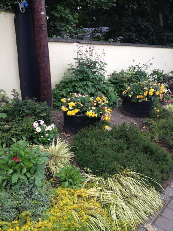 Shannon Breeze B&B Killaloe Exteriör bild